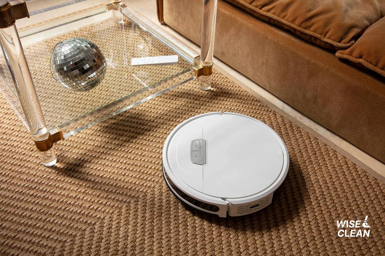 Robot Vacuums vs. Professional Cleaning Services: Do They Really Free Your Time?